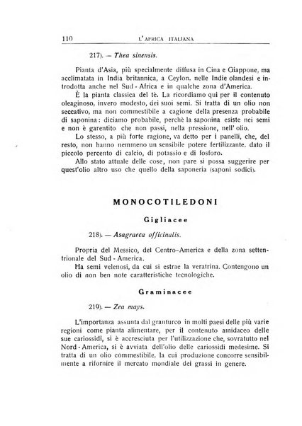 L'Africa italiana bollettino della Società africana d'Italia