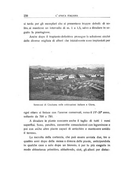 L'Africa italiana bollettino della Società africana d'Italia