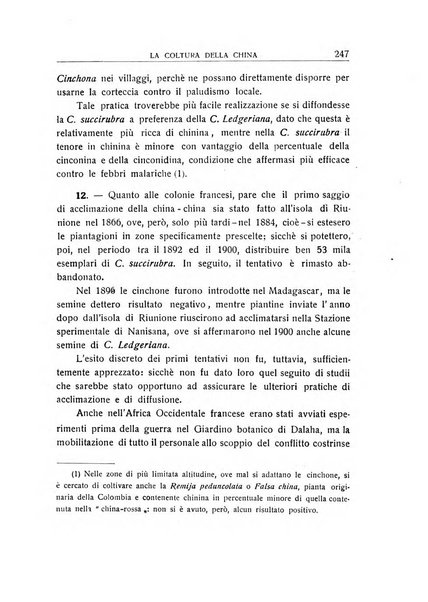 L'Africa italiana bollettino della Società africana d'Italia