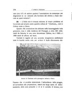 giornale/TO00085511/1932-1933/unico/00000310