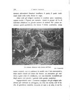 giornale/TO00085511/1935/unico/00000320