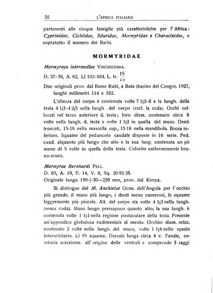 L'Africa italiana bollettino della Società africana d'Italia