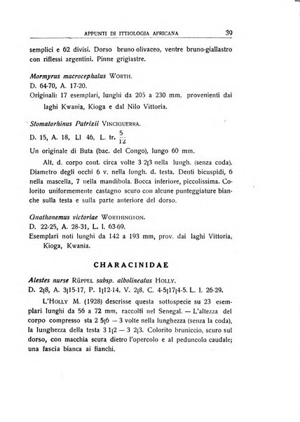 L'Africa italiana bollettino della Società africana d'Italia