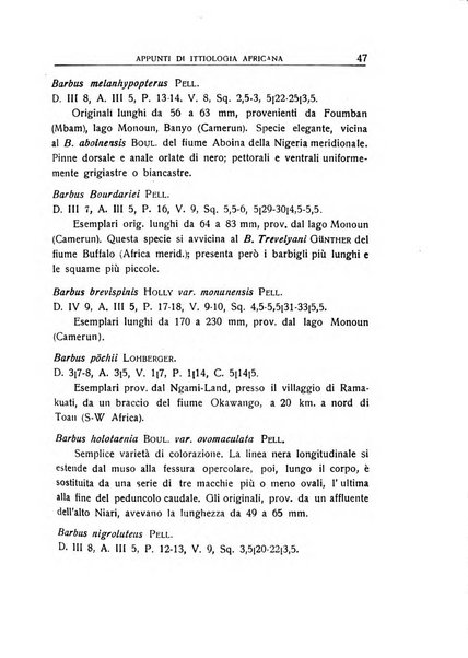 L'Africa italiana bollettino della Società africana d'Italia