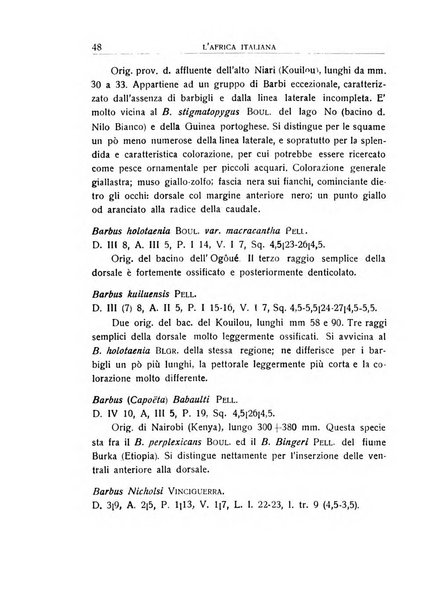 L'Africa italiana bollettino della Società africana d'Italia