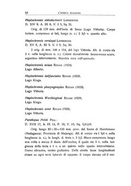 L'Africa italiana bollettino della Società africana d'Italia