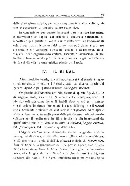 L'Africa italiana bollettino della Società africana d'Italia