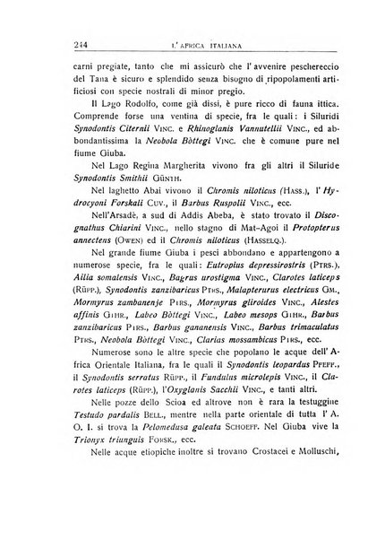 L'Africa italiana bollettino della Società africana d'Italia