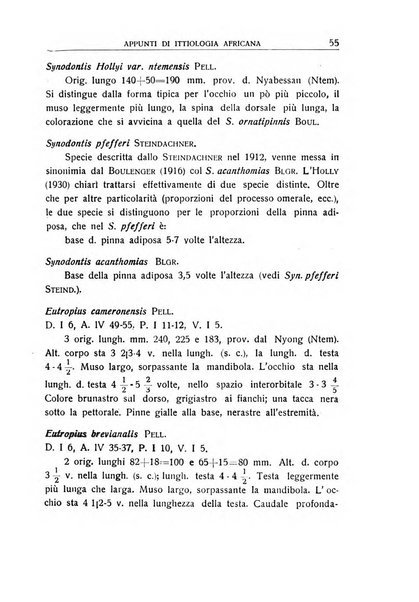 L'Africa italiana bollettino della Società africana d'Italia