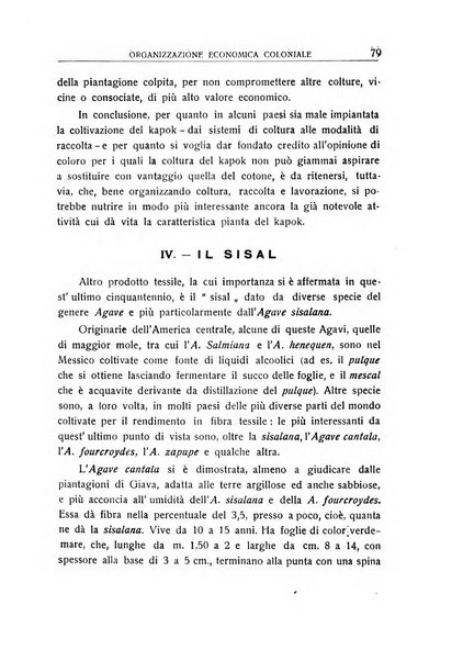 L'Africa italiana bollettino della Società africana d'Italia