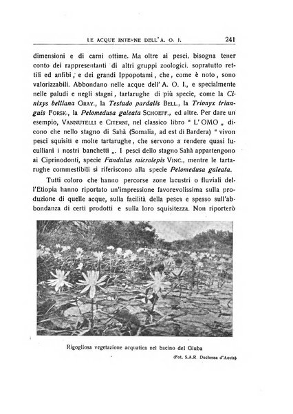 L'Africa italiana bollettino della Società africana d'Italia