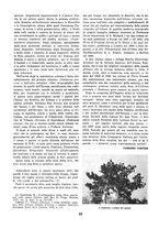 giornale/TO00085551/1939/unico/00000188