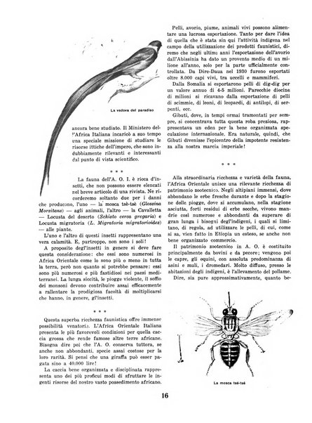 Africa italiana pubblicazione mensile dell'Istituto fascista dell'Africa italiana