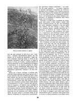 giornale/TO00085551/1939/unico/00000198