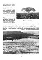 giornale/TO00085551/1939/unico/00000331