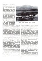giornale/TO00085551/1939/unico/00000341