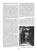 giornale/TO00085551/1939/unico/00000406
