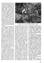 giornale/TO00085551/1939/unico/00000549