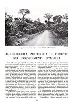 giornale/TO00085551/1940-1941/unico/00000261