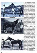 giornale/TO00085551/1940/unico/00000136