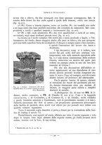 giornale/TO00085564/1928/unico/00000116