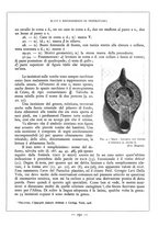 giornale/TO00085564/1928/unico/00000221