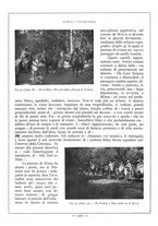 giornale/TO00085564/1930/unico/00000318