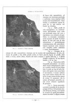 giornale/TO00085564/1933/unico/00000216