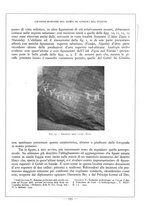 giornale/TO00085564/1933/unico/00000221