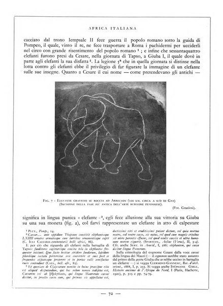 Africa italiana rivista di storia e d'arte