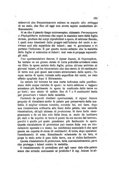 L'agricoltura pratica organo ufficiale del Comizio agrario di Firenze