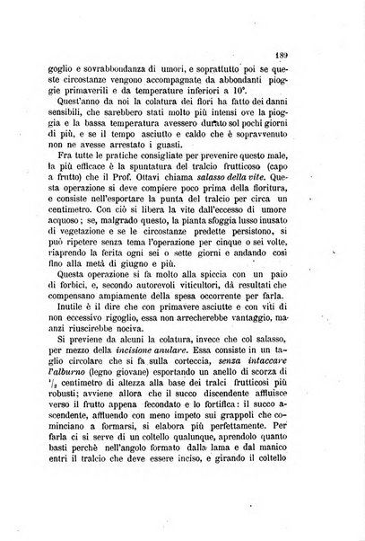 L'agricoltura pratica organo ufficiale del Comizio agrario di Firenze