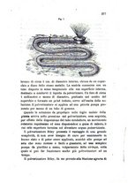 giornale/TO00108241/1885/unico/00000285