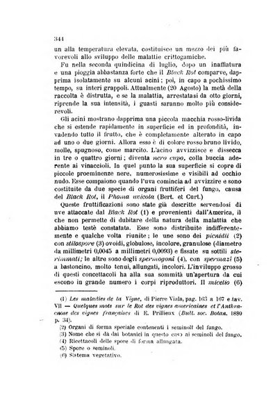 L'agricoltura pratica organo ufficiale del Comizio agrario di Firenze