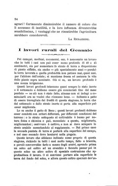 L'agricoltura pratica organo ufficiale del Comizio agrario di Firenze