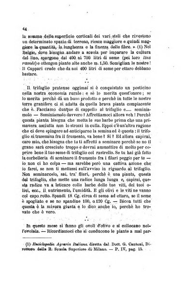 L'agricoltura pratica organo ufficiale del Comizio agrario di Firenze