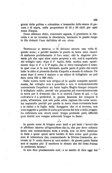 L'agricoltura pratica organo ufficiale del Comizio agrario di Firenze