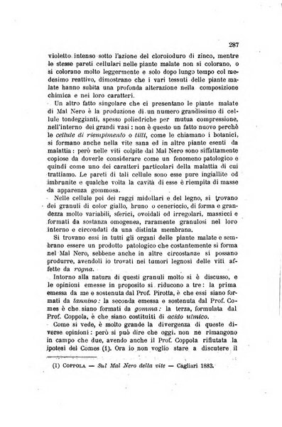 L'agricoltura pratica organo ufficiale del Comizio agrario di Firenze