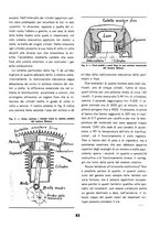 giornale/TO00113347/1937/unico/00000447