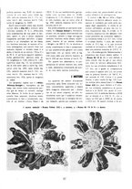 giornale/TO00113347/1937/unico/00001057