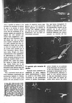 giornale/TO00113347/1943/unico/00000511