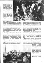 giornale/TO00113347/1943/unico/00000551