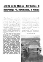 giornale/TO00115945/1940/unico/00000503