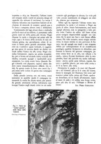 giornale/TO00115945/1941/unico/00000690