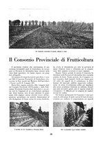 giornale/TO00125333/1933/unico/00000068