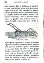 giornale/TO00142234/1869-1873/unico/00000300