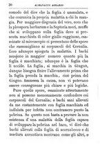 giornale/TO00142234/1869-1873/unico/00000374