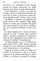 giornale/TO00142234/1869-1873/unico/00000402