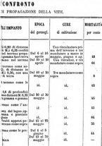 giornale/TO00142234/1869-1873/unico/00000625