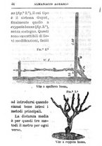 giornale/TO00142234/1869-1873/unico/00000780